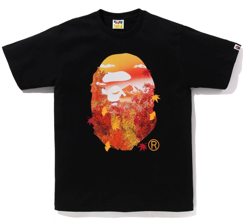 A BATHING APE JAPAN AUTUMN PHOTO APE HEAD TEE