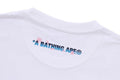 A BATHING APE SAKURA BAPE TEE