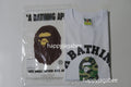 A BATHING APE Ladies' ABC CAMO COLLEGE TEE