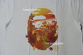 A BATHING APE JAPAN AUTUMN PHOTO APE HEAD TEE