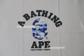 A BATHING APE JAPAN LIMITED COLLECTION BAPE STORE NAGOYA CAMO COLLEGE TEE