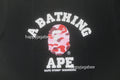 A BATHING APE JAPAN LIMITED COLLECTION BAPE STORE HIROSHIMA CAMO COLLEGE TEE