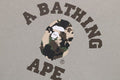 A BATHING APE MAP CAMO COLLEGE RELAXED FIT CREWNECK SWEAT SHIRT