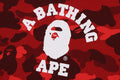 A BATHING APE COLOR CAMO COLLEGE PULLOVER HOODIE ONLINE EXCLUSIVE