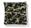 A BATHING APE ABC CAMO CUSHION