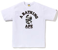 A BATHING APE JAPAN LIMITED COLLECTION BAPE STORE DSMG CAMO COLLEGE TEE